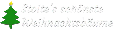 Stolte’s schönste Weihnachtsbäume